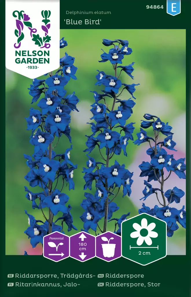 Ritarinkannus, Jalo-, Blue Bird - Kukkien ja koristeheinien siemenet - 7312600948648 - 0