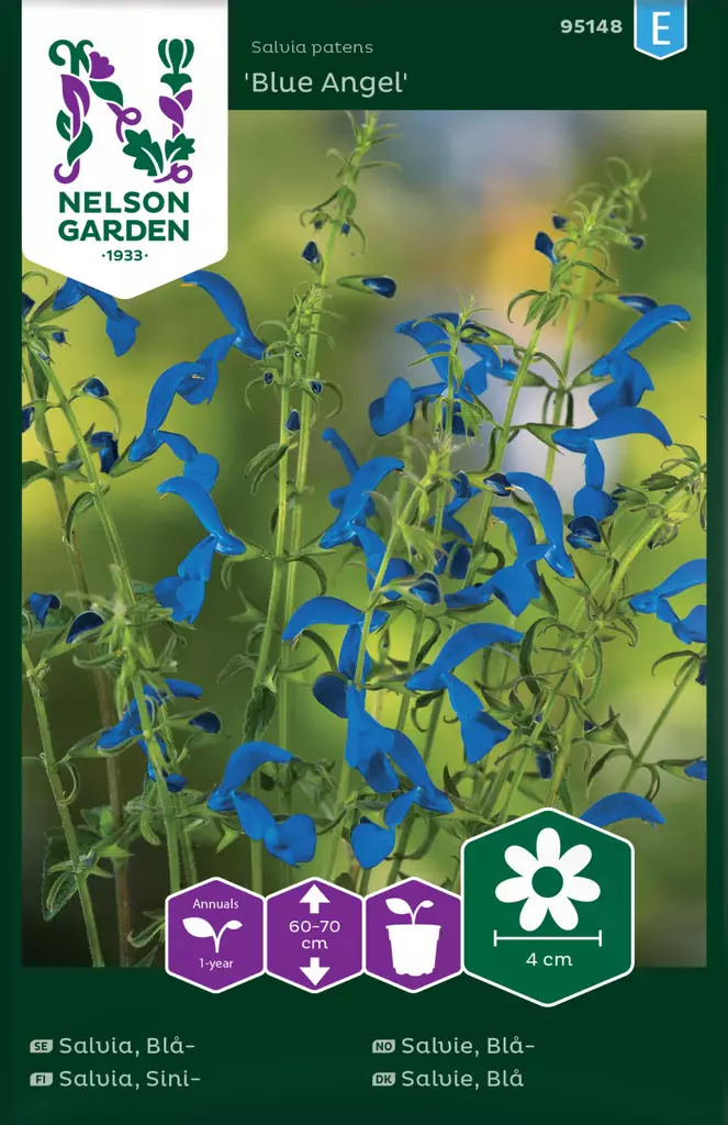 Salvia, Sini-, Blue Angel - Kukkien ja koristeheinien siemenet - 7312600951488 - 0