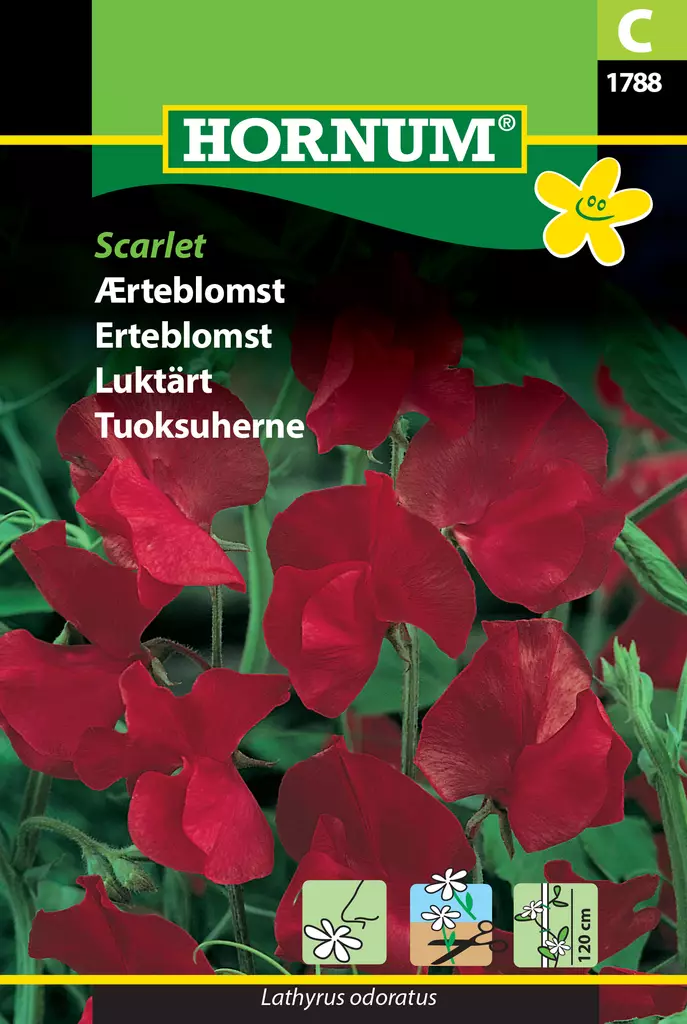 Tuoksuherne Scarlet - Kukkien ja koristeheinien siemenet - 5708787017888 - 0