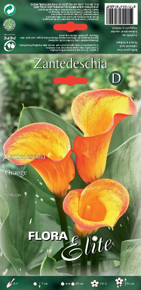 Huonevehka Oranssi - Kukkasipulit - 8711554816208 - 1