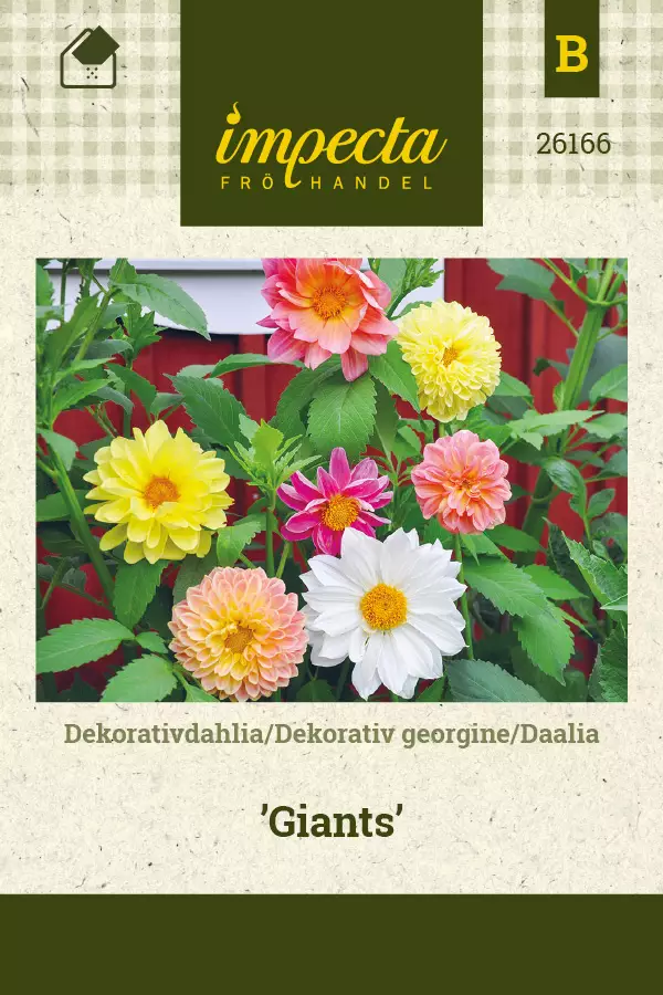 Daalia Giants - Kukkien ja koristeheinien siemenet - 7332756261668 - 0