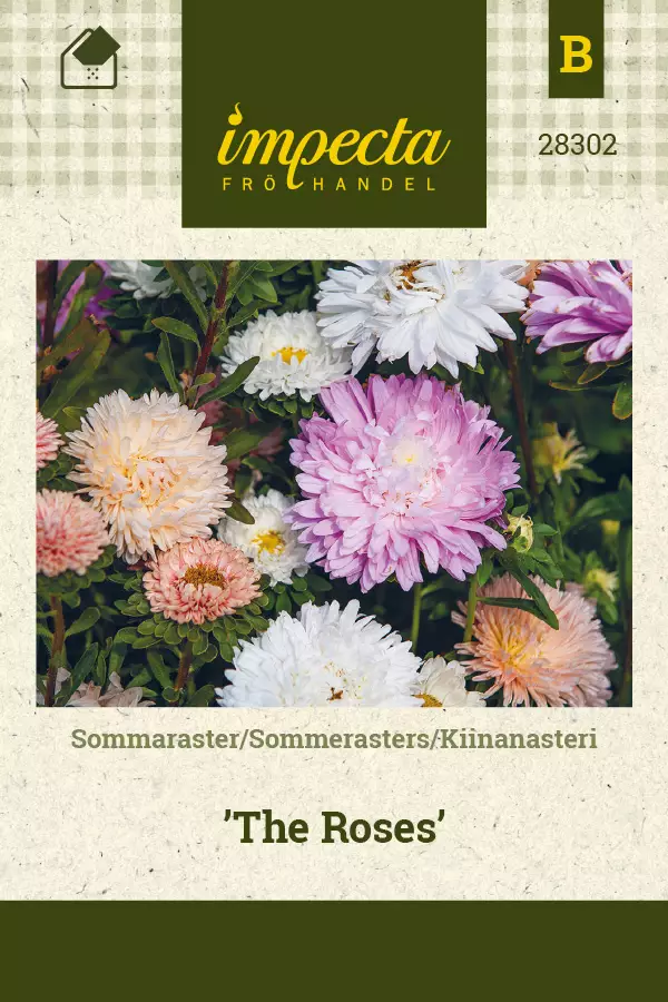 Kiinanasteri The Roses - Kukkien ja koristeheinien siemenet - 7332756283028 - 0