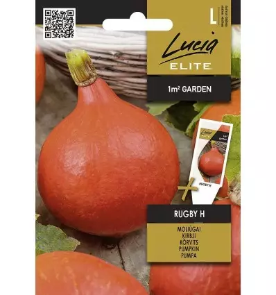 Kurpitsa Elite Rugby H - Vihannesten ja yrttien siemenet - 4770168928558 - 1