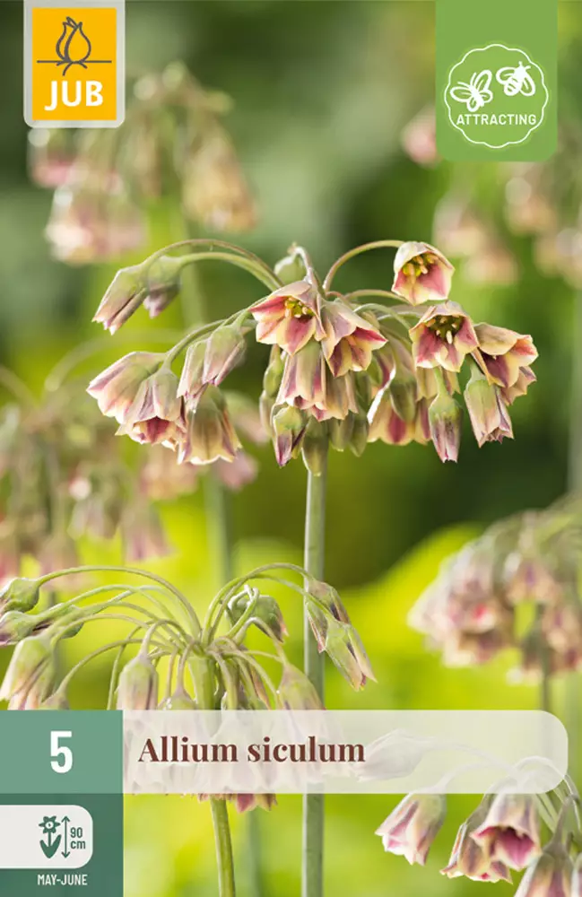 Laukka Siculum 5kpl/pkt - Laukat - 8712438989018 - 1
