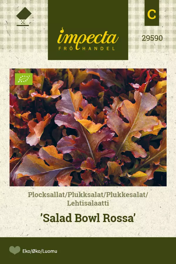 Lehtisalaatti Salad Bowl Rossa - Vihannesten ja yrttien siemenet - 7332756295908 - 0