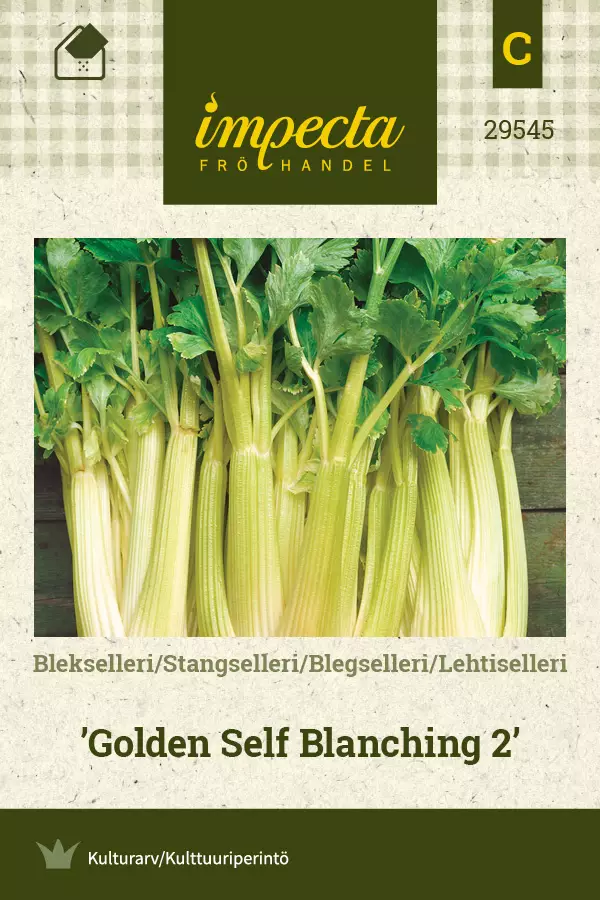 Lehtiselleri Golden Self Blanching 2 - Vihannesten ja yrttien siemenet - 7332756295458 - 0