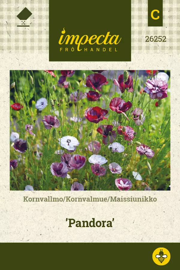 Maissiunikko Pandora - Kukkien ja koristeheinien siemenet - 7332756262528 - 0