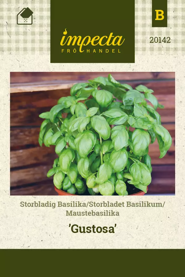 Maustebasilika Gustosa - Vihannesten ja yrttien siemenet - 7332756201428 - 0