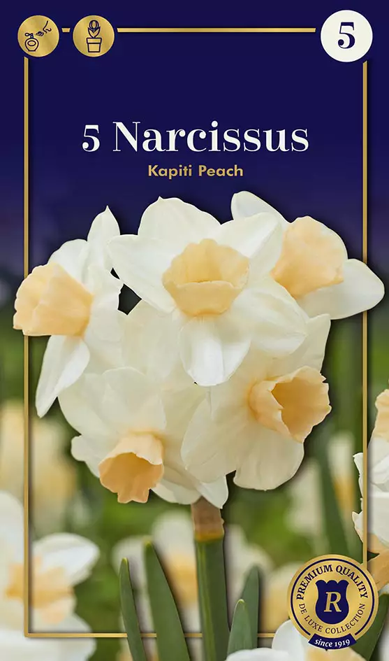 Narsissi Kapiti Peach 5 kpl/pkt - Narsissit - 8711148252498 - 1