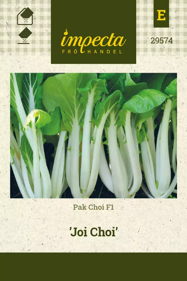 Pak Choi F1 Joi Choi - Vihannesten ja yrttien siemenet - 7332756295748 - 0