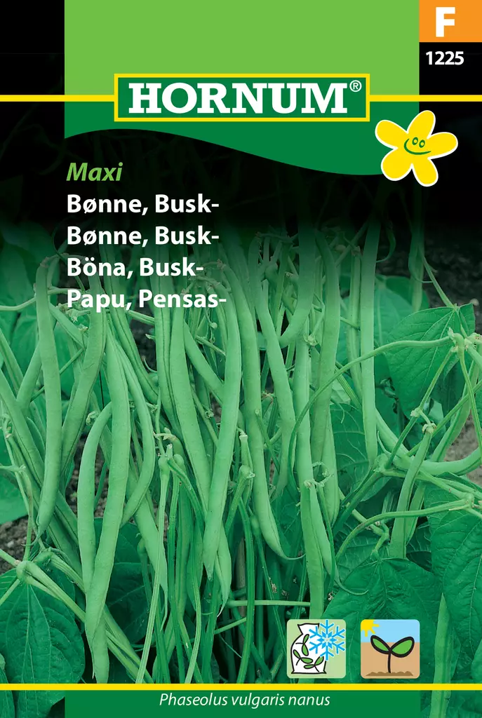 Papu, Pensas- Maxi - Vihannesten ja yrttien siemenet - 5708787012258 - 0