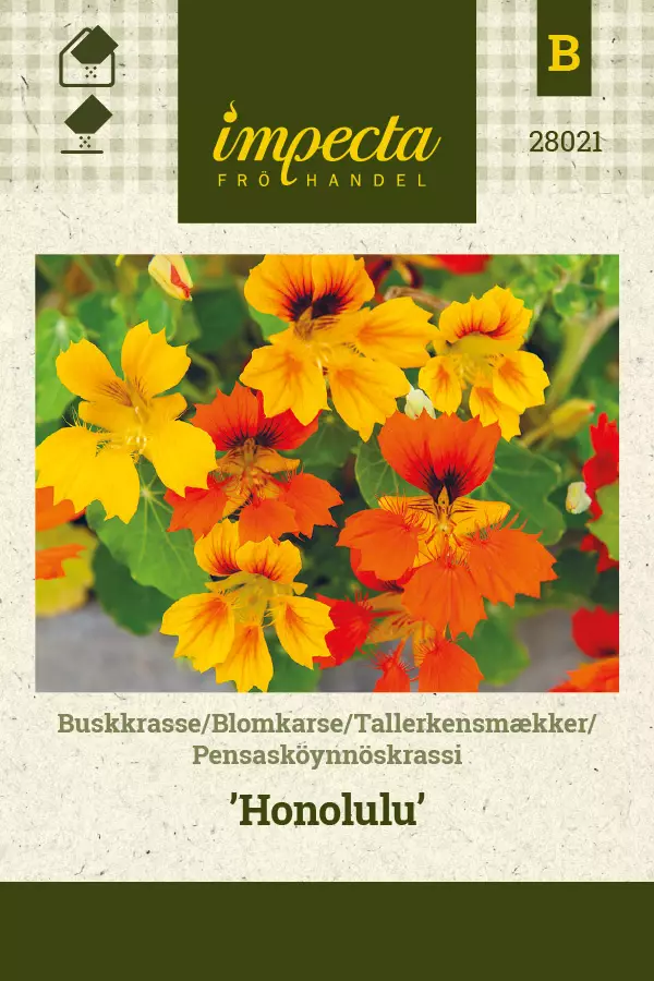 Pensasköynnöskrassi - Kukkien ja koristeheinien siemenet - 7332756280218 - 0