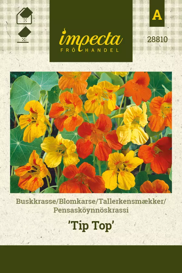 Pensasköynnöskrassi Tip Top - Kukkien ja koristeheinien siemenet - 7332756288108 - 0