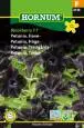 Petunia, Tarha- Black Berry - Kukkien ja koristeheinien siemenet - 5708787021588 - 1