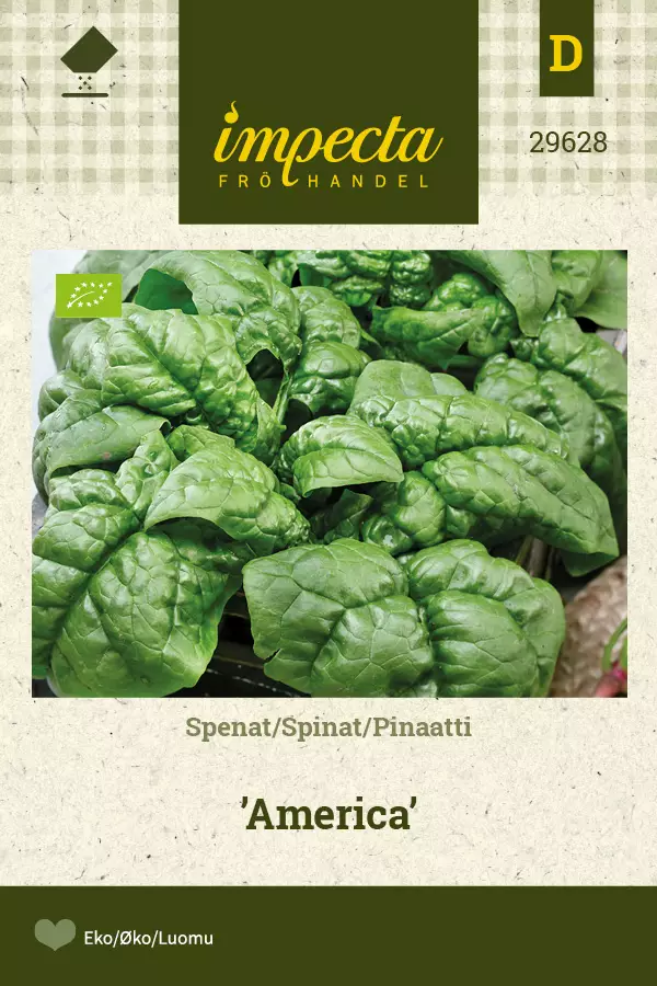 Pinaatti America - Vihannesten ja yrttien siemenet - 7332756296288 - 0