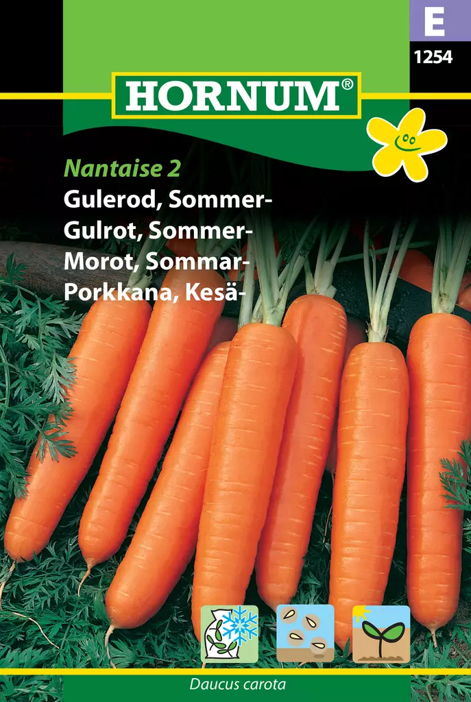 Porkkana, Kesä- Pilleröity, Nantaise 2 - Vihannesten ja yrttien siemenet - 5708787012548 - 0