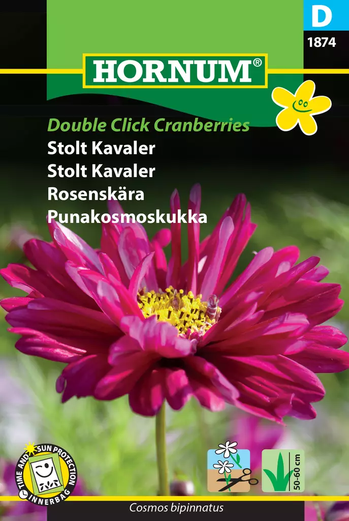 Punakosmoskukka Double Click Cranberries - Kukkien ja koristeheinien siemenet - 5708787018748 - 0