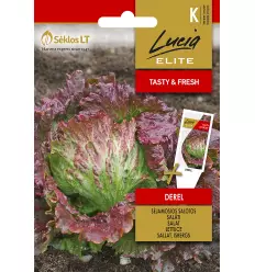 SALAATTI ELITE DEREL - Vihannesten ja yrttien siemenet - 4770168142398 - 1