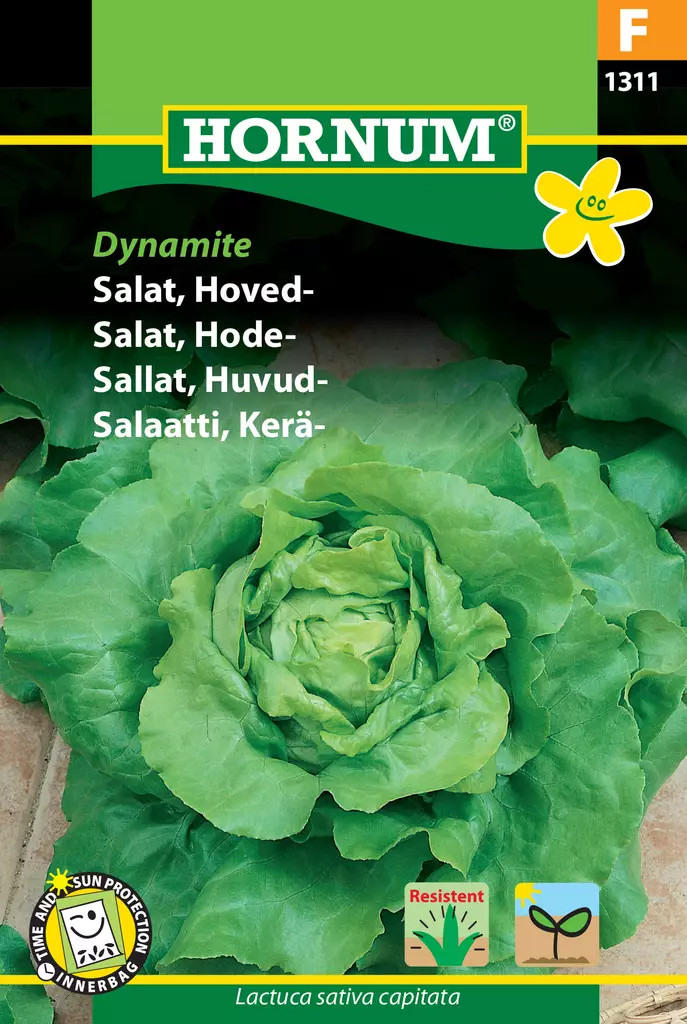 Salaatti, Kerä- Dynamite - Vihannesten ja yrttien siemenet - 5708787013118 - 0
