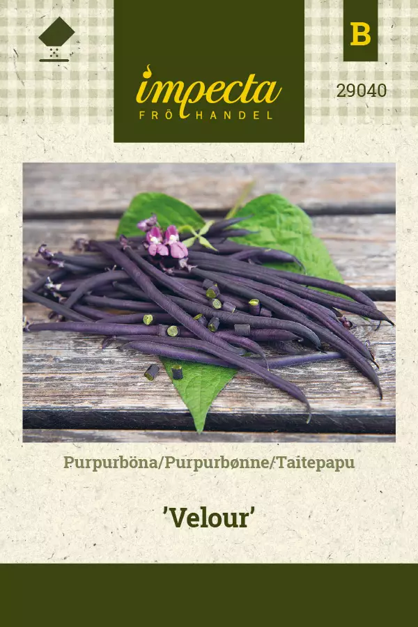 Taitepapu Velour - Vihannesten ja yrttien siemenet - 7332756290408 - 0