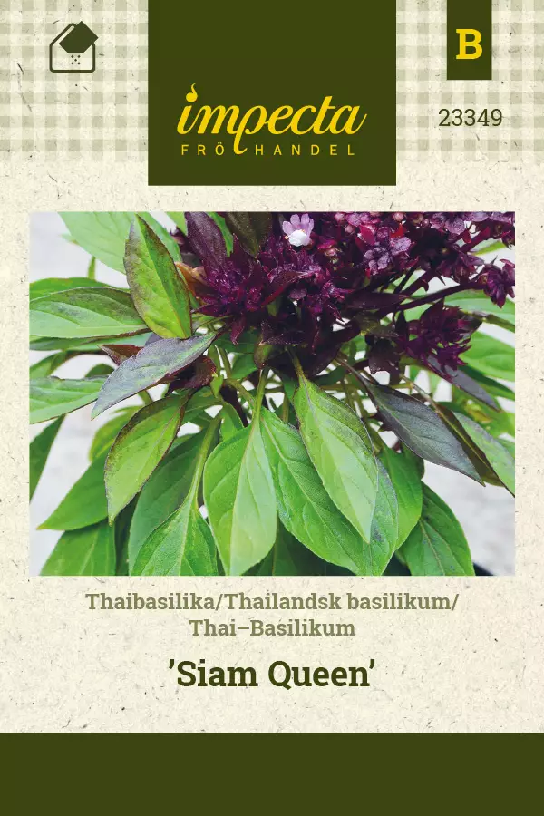 Thaibasilika Siam Queen - Vihannesten ja yrttien siemenet - 7332756233498 - 0