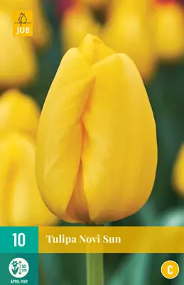 Tulppaani Novi Sun 7 kpl/pkt - Tulppaanit - 8712438504198 - 1