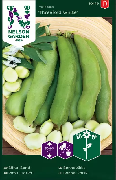 Papu, Härkä-, Threefold White - Vihannesten ja yrttien siemenet - 7312600901469 - 2