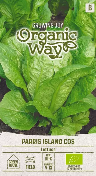 ROMAINESALAATTI OG PARRIS ISLAND COS - Vihannesten ja yrttien siemenet - 4770168151659 - 0