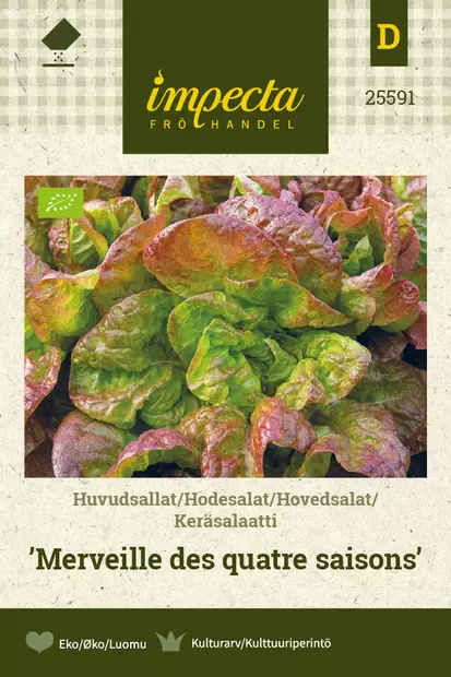 Keräsalaatti Merveille des Quatre saison - Vihannesten ja yrttien siemenet - 7332756255919 - 1