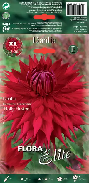 Daalia Holly Huston - Daaliat - 8711554802379 - 1