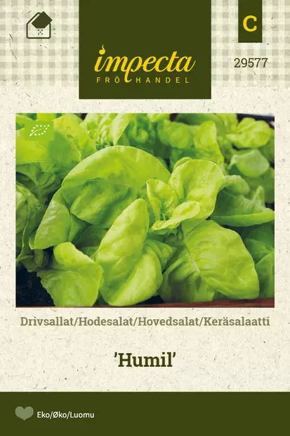Keräsalaatti Humil - Vihannesten ja yrttien siemenet - 7332756295779 - 0