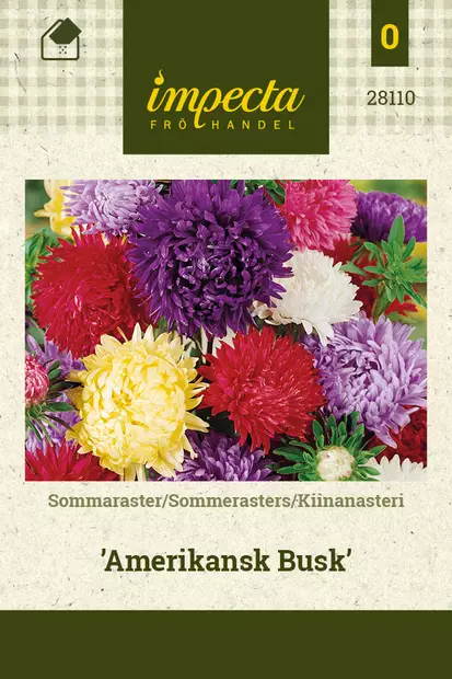 Kiinanasteri Amerikansk Busk - Kukkien ja koristeheinien siemenet - 7332756281109 - 1