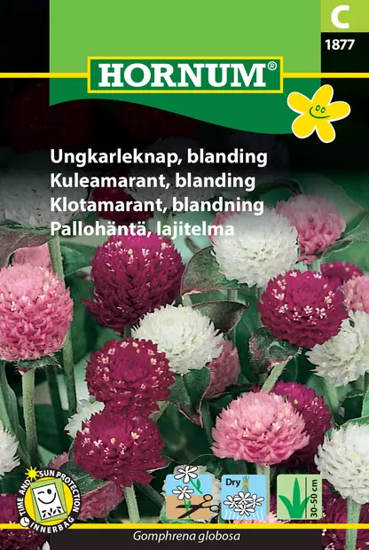 Pallohäntä, lajitelma - Kukkien ja koristeheinien siemenet - 5708787018779 - 0