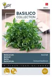 Buzzy Basilico basilika Bush Ball - Kukkien ja koristeheinien siemenet - 8711117809159 - 1