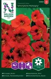 Krassi, Pensasköynnös-,Whirlybird Mahog. - Kukkien ja koristeheinien siemenet - 7312600938649 - 0