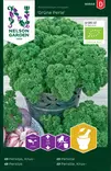 Persilja, Grüne Perle, Organic - Vihannesten ja yrttien siemenet - 7312600909489 - 0