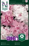 Petunia, Tarha-, Cascade Orchid Mist F1 - Kukkien ja koristeheinien siemenet - 7312600945289 - 0