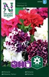 Petunia,Tarha-,Glorious F1, kerrottu - Kukkien ja koristeheinien siemenet - 7312600945449 - 0