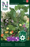 Seos, Köynnöskukkia- - Kukkien ja koristeheinien siemenet - 7312600932609 - 0