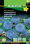 Sinivarjo Blue Umbrella - Kukkien ja koristeheinien siemenet - 5708787018519 - 0