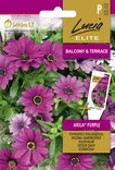 TÄHTISILMÄ ELITE AKILA PURPLE - Kukkien ja koristeheinien siemenet - 4770168913769 - 0