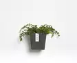 Ecopots Ruukku Manhattan Wall 15 cm - Ecopots ruukut ja lautaset - 5413724313809 - 2