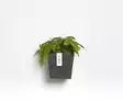 Ecopots Ruukku Manhattan Wall 15 cm - Ecopots ruukut ja lautaset - 5413724313809 - 3