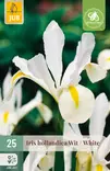 Hollanninkurjenmiekka White 25 kpl/pkt - Muut kukkasipulit - 8712438520259 - 1