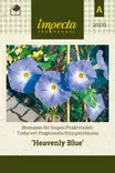 Kirjopäivänsini Heavenly Blue - Kukkien ja koristeheinien siemenet - 7332756002339 - 1