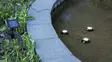 Koristevalaisin Water Light solar 3-os. - Kasvilamput ja -valaisimet - 7391482063229 - 2