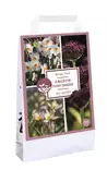 Kukkasipuli Mix Dry Garden 35 kpl/pkt - Muut kukkasipulit - 8712438998249 - 2
