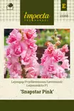 Leijonankita F1 Snapstar Pink - Kukkien ja koristeheinien siemenet - 7332756210659 - 0