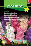 Leukoija, Tarha-, lajitelma Aroma - Kukkien ja koristeheinien siemenet - 5708787017079 - 0