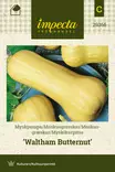 Myskikurpitsa Waltham Butternut - Kukkien ja koristeheinien siemenet - 7332756293669 - 0
